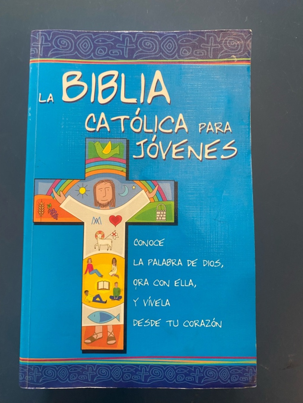 La Biblia Católica para Jóvenes - paperback Instituto Fe y Vida (inscribed)